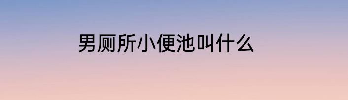 男厕所小便池叫什么