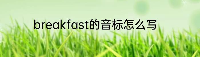 breakfast的音标怎么写