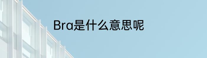Bra是什么意思呢