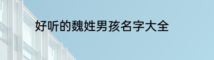 好听的魏姓男孩名字大全
