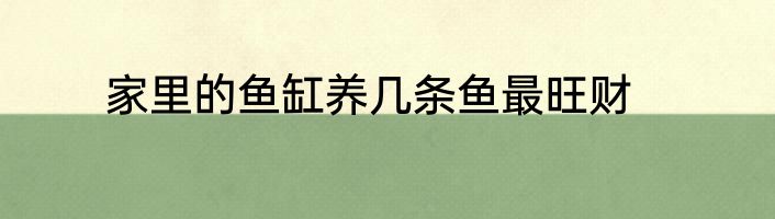 家里的鱼缸养几条鱼最旺财