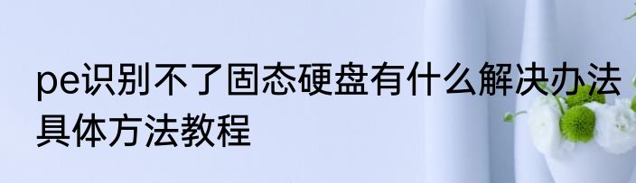 pe识别不了固态硬盘有什么解决办法具体方法教程