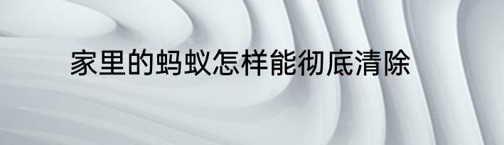 家里的蚂蚁怎样能彻底清除