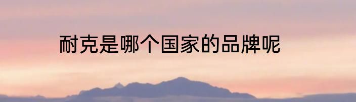 耐克是哪个国家的品牌呢