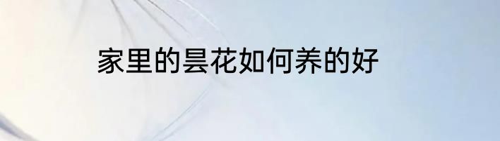 家里的昙花如何养的好