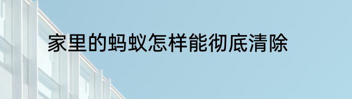 家里的蚂蚁怎样能彻底清除