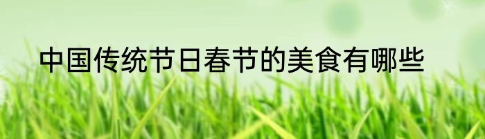 中国传统节日春节的美食有哪些