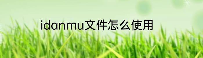 idanmu文件怎么使用
