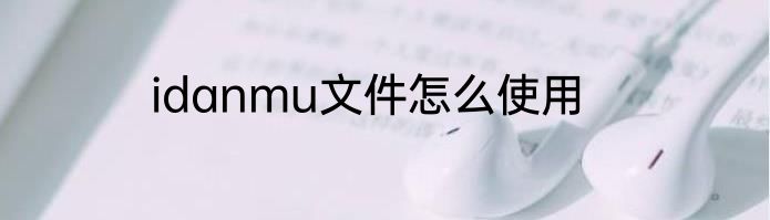 idanmu文件怎么使用