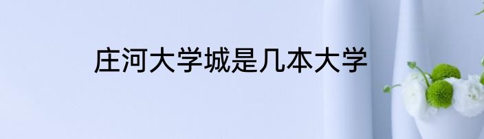 庄河大学城是几本大学