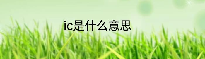 ic是什么意思