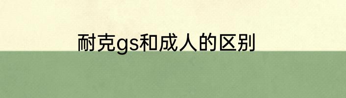 耐克gs和成人的区别