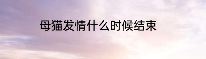 母猫发情什么时候结束