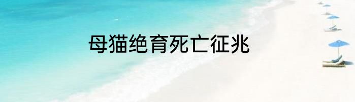 母猫绝育死亡征兆