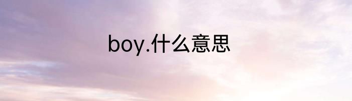 boy.什么意思