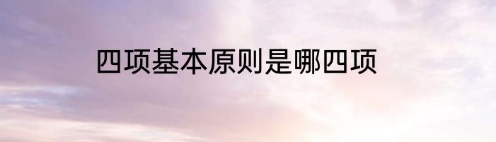 四项基本原则是哪四项