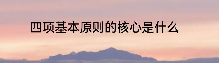 四项基本原则的核心是什么