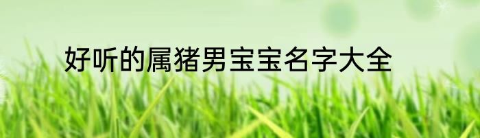 好听的属猪男宝宝名字大全