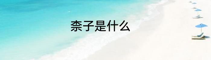 柰子是什么