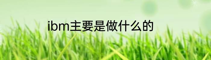 ibm主要是做什么的