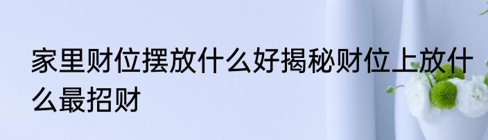 家里财位摆放什么好揭秘财位上放什么最招财