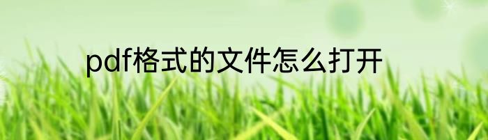 pdf格式的文件怎么打开