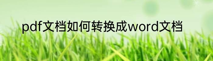 pdf文档如何转换成word文档