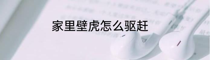 家里壁虎怎么驱赶