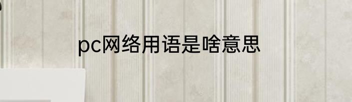 pc网络用语是啥意思