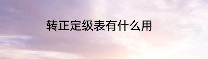 转正定级表有什么用