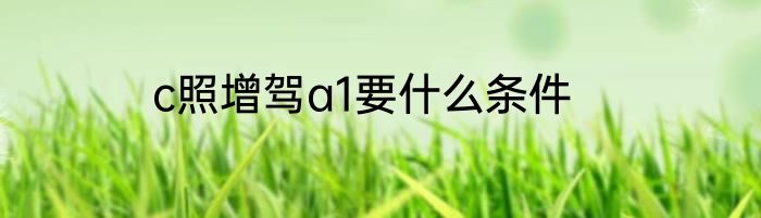 c照增驾a1要什么条件