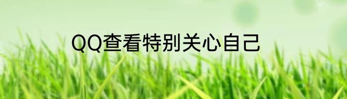 QQ查看特别关心自己