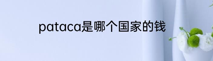 pataca是哪个国家的钱