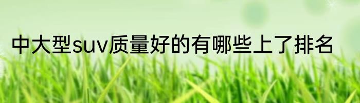 中大型suv质量好的有哪些上了排名