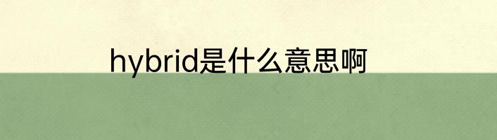hybrid是什么意思啊