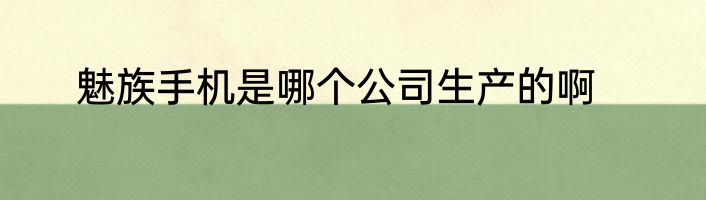 魅族手机是哪个公司生产的啊