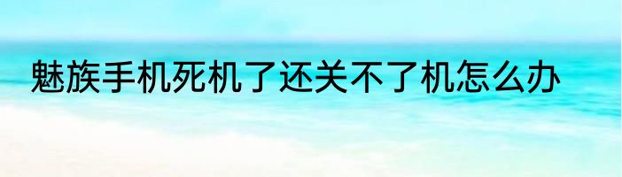 魅族手机死机了还关不了机怎么办