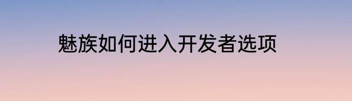 魅族如何进入开发者选项