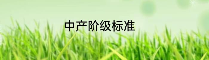 中产阶级标准