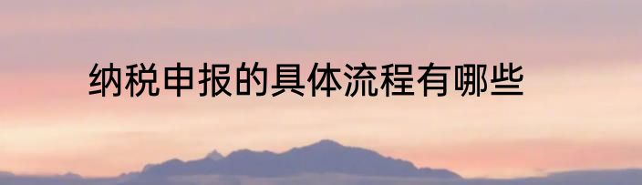 纳税申报的具体流程有哪些