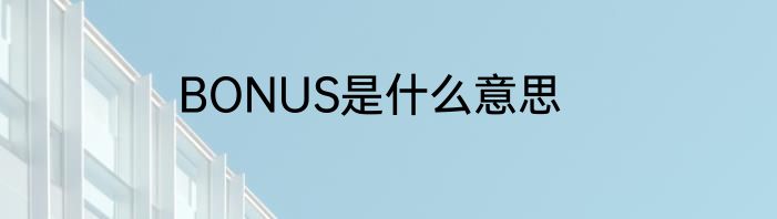 BONUS是什么意思