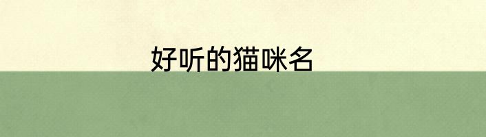 好听的猫咪名