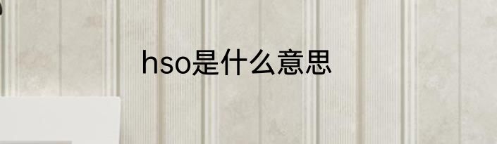 hso是什么意思