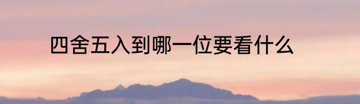 四舍五入到哪一位要看什么