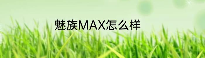 魅族MAX怎么样