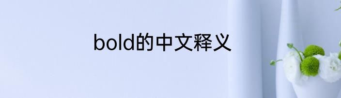 bold的中文释义
