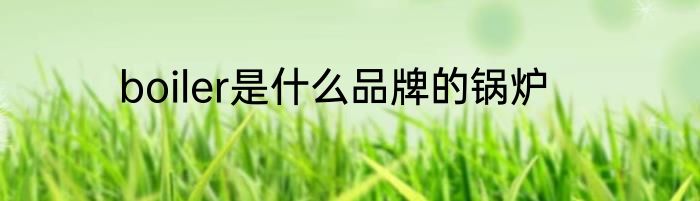 boiler是什么品牌的锅炉
