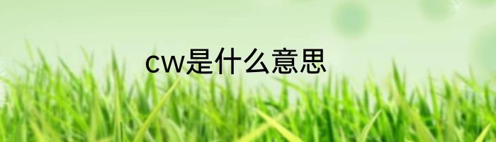 cw是什么意思