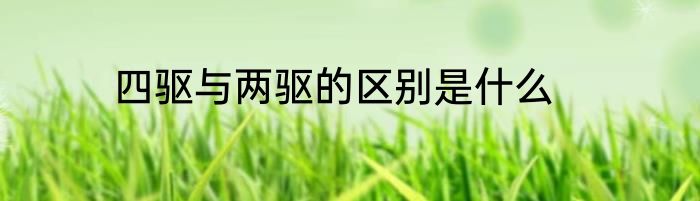 四驱与两驱的区别是什么