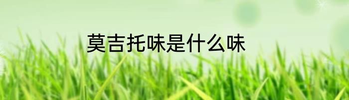莫吉托味是什么味